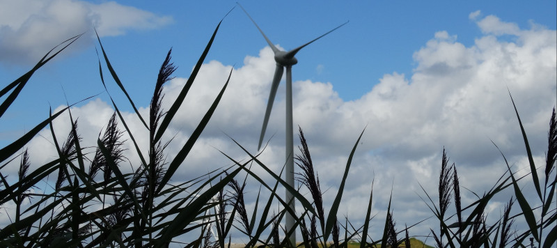 Windmolen